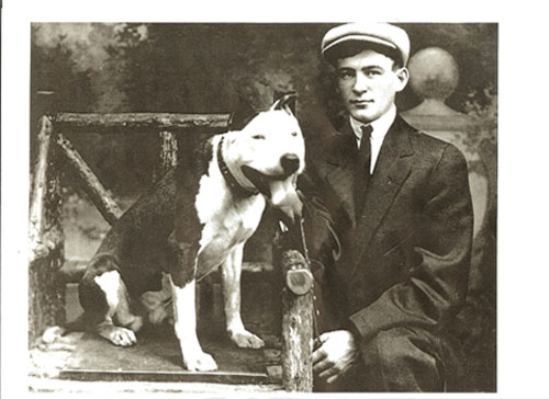 amstaff Kanske var det bättre förr